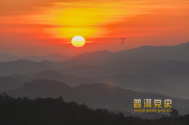三亚沙滩现多起僧帽水母伤人事件,当地回应:无游客中毒